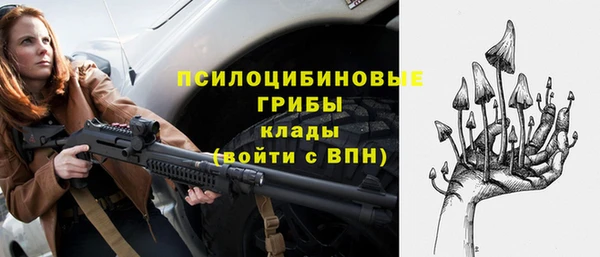 стафф Богородицк