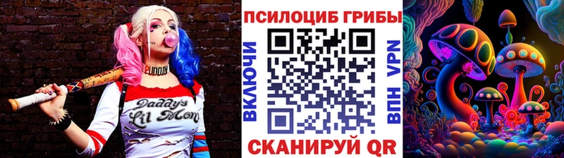 блэк спрут маркетплейс  даркнет сайт  Власиха  Галлюциногенные грибы Magic Shrooms 